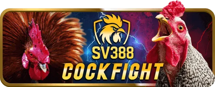 Điều khoản và điều kiện sử dụng dịch vụ B52Club